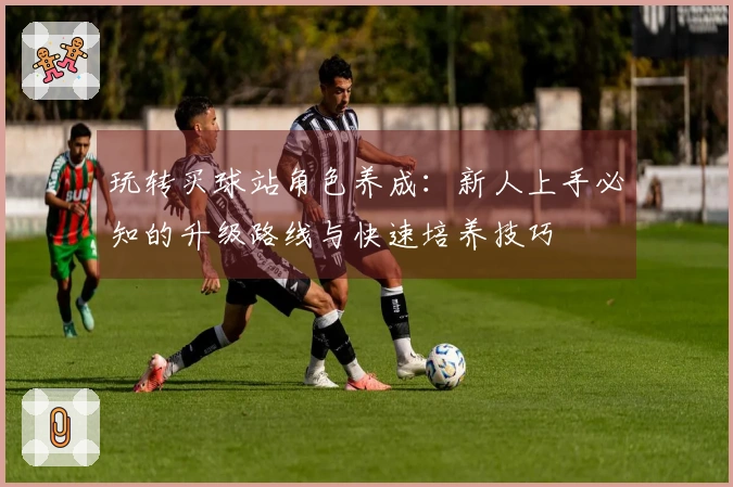 玩转买球站角色养成：新人上手必知的升级路线与快速培养技巧