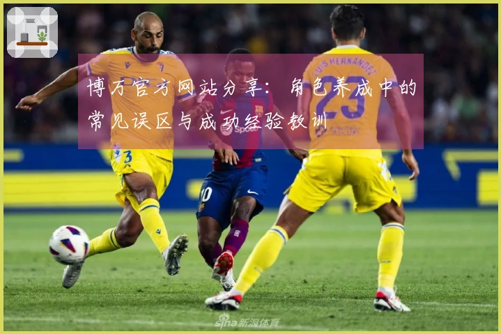 博万官方网站分享：角色养成中的常见误区与成功经验教训