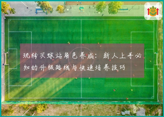 玩转买球站角色养成：新人上手必知的升级路线与快速培养技巧