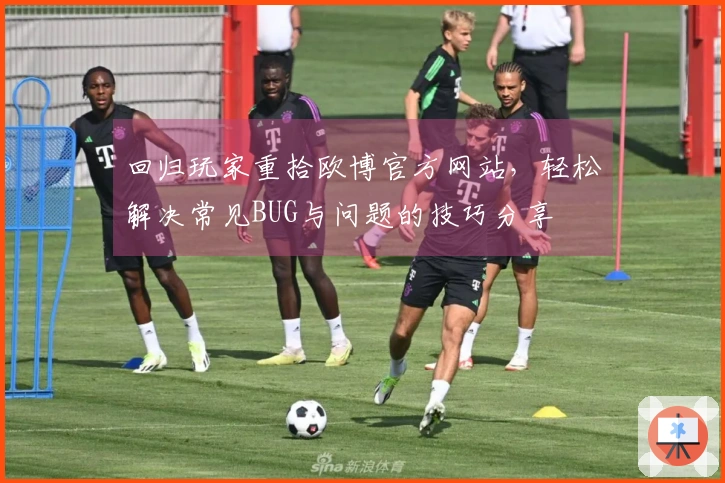 回归玩家重拾欧博官方网站，轻松解决常见BUG与问题的技巧分享